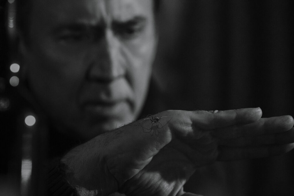 Ben Reilly/Spiderman (Nicolas Cage) in SPIDER-NOIR
Photo: Aaron Epstein/Prime
© Amazon Content Services LLC